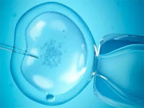 海外试管婴儿目的地大比拼：中国家庭首选国家揭晓